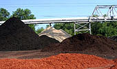 Mulch Piles